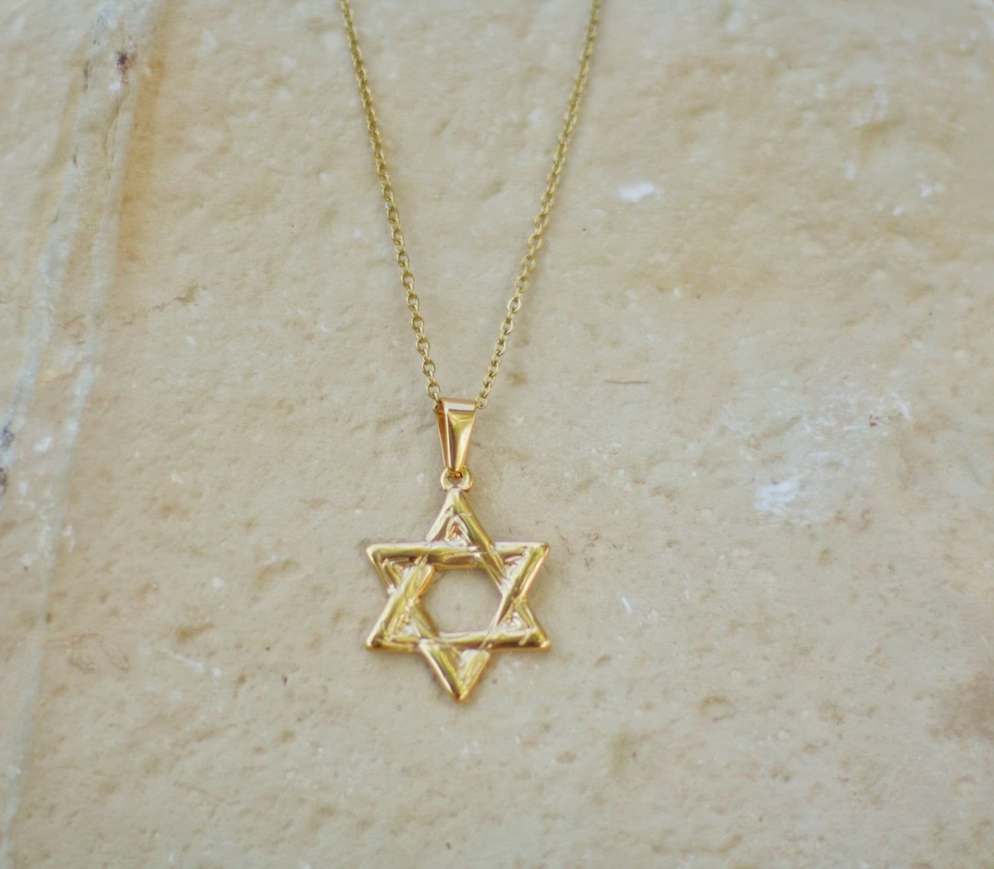 רשת האור