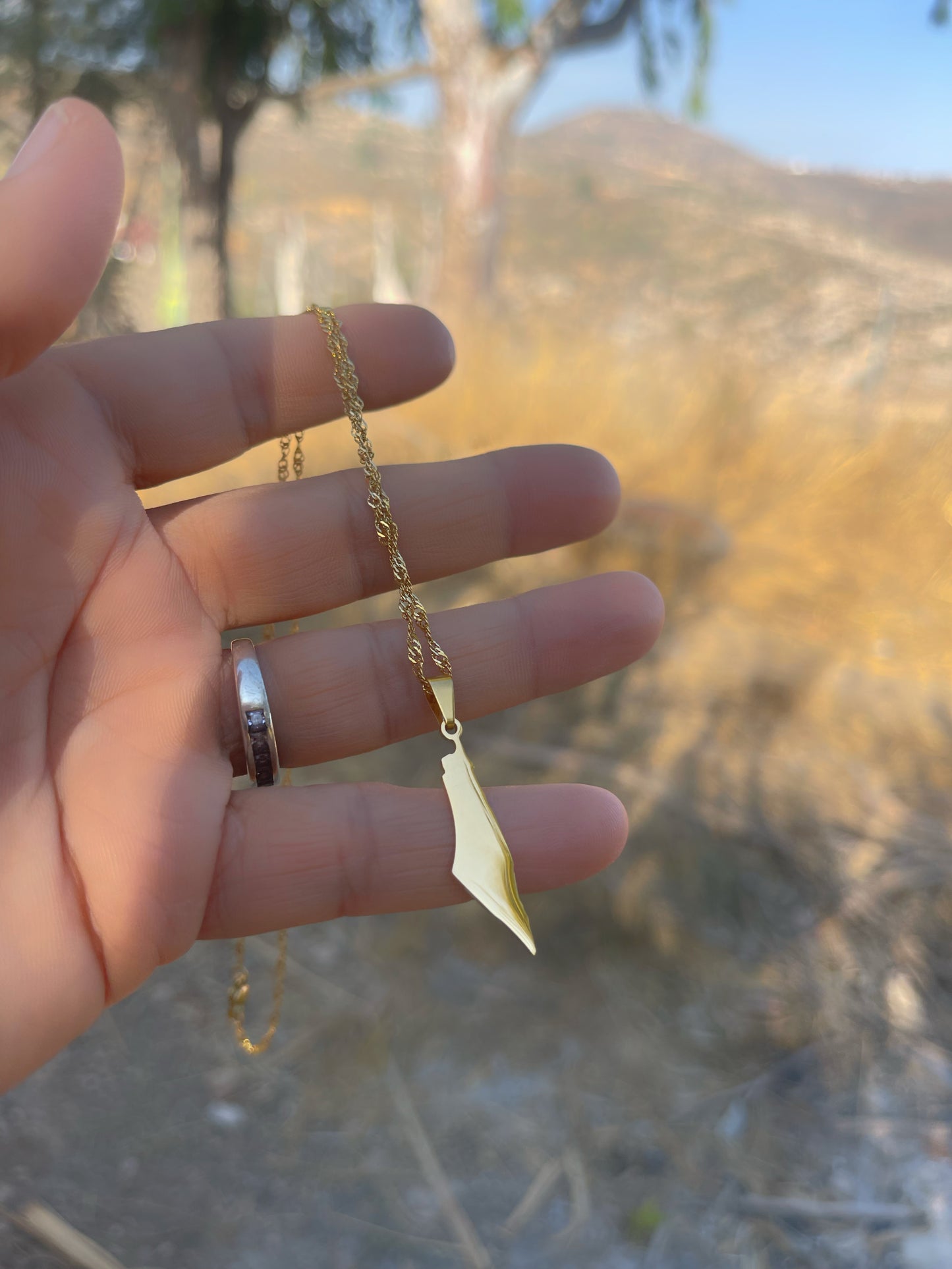 צלליתה של הארץ