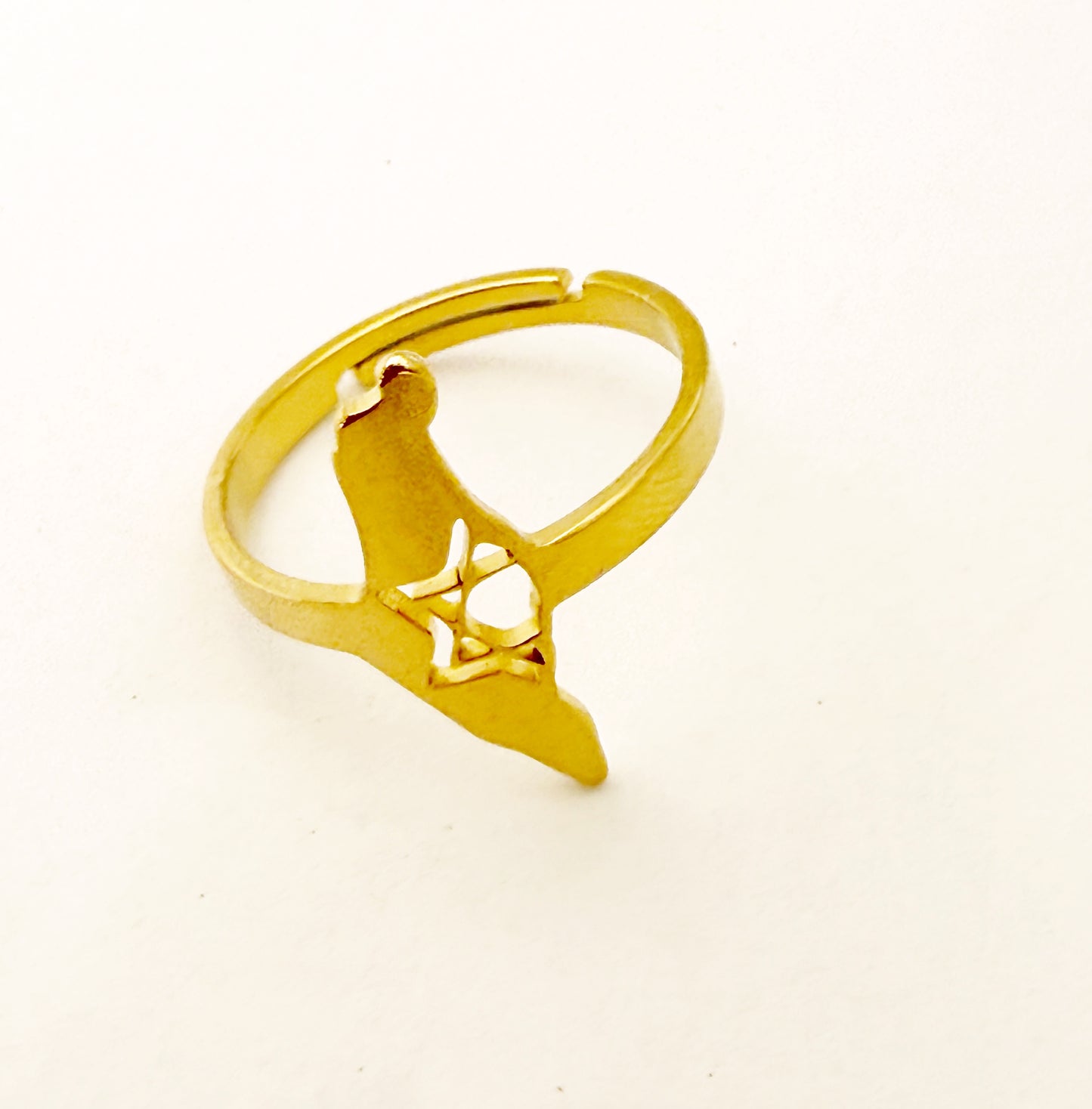 טבעת תכשיט הארץ