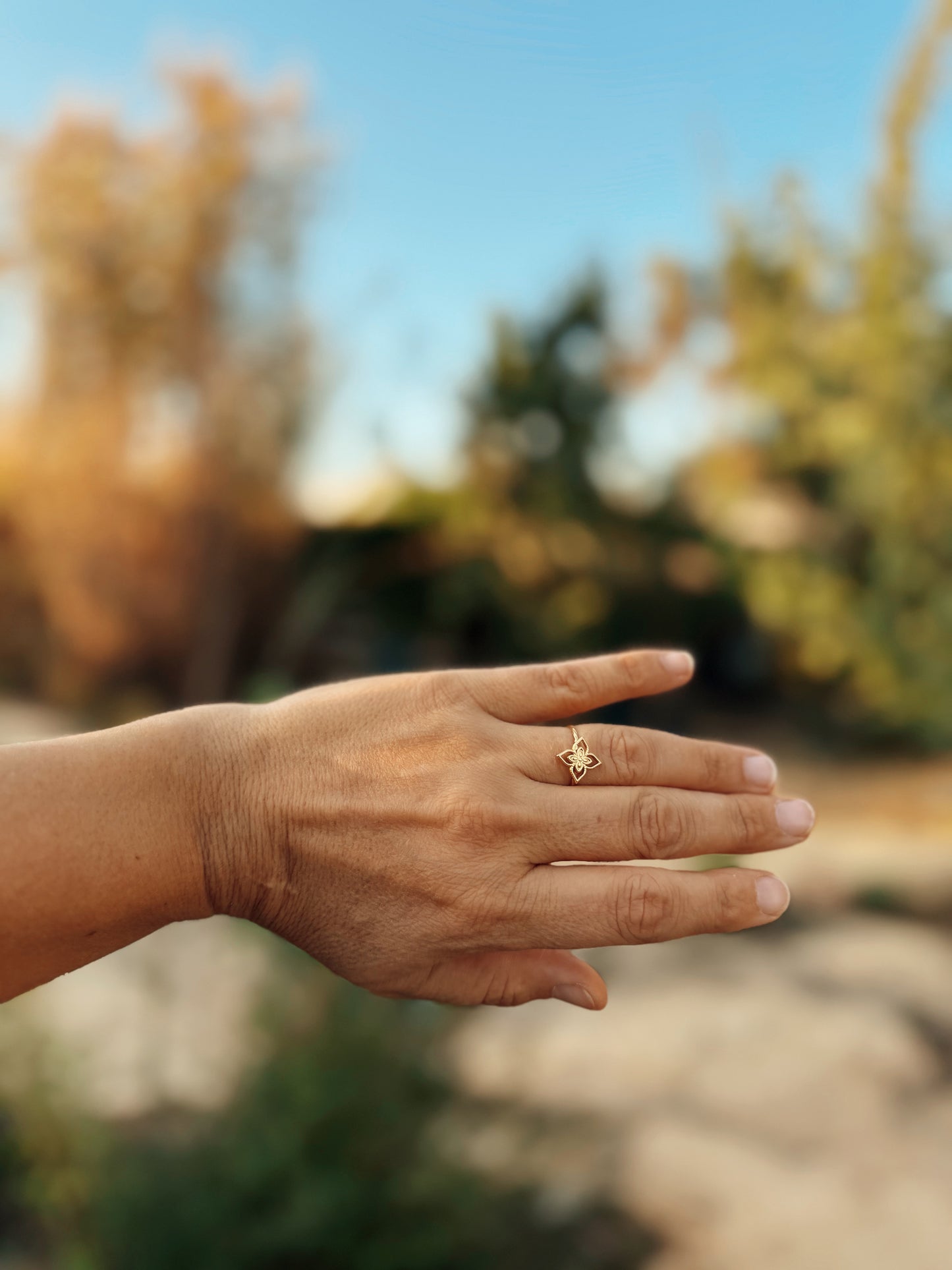 טבעת שושנת הרוחות