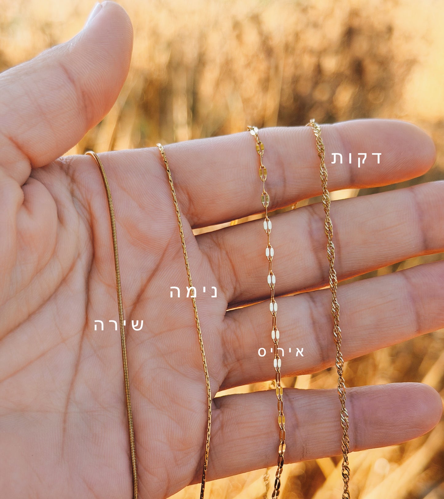 ואהבתה