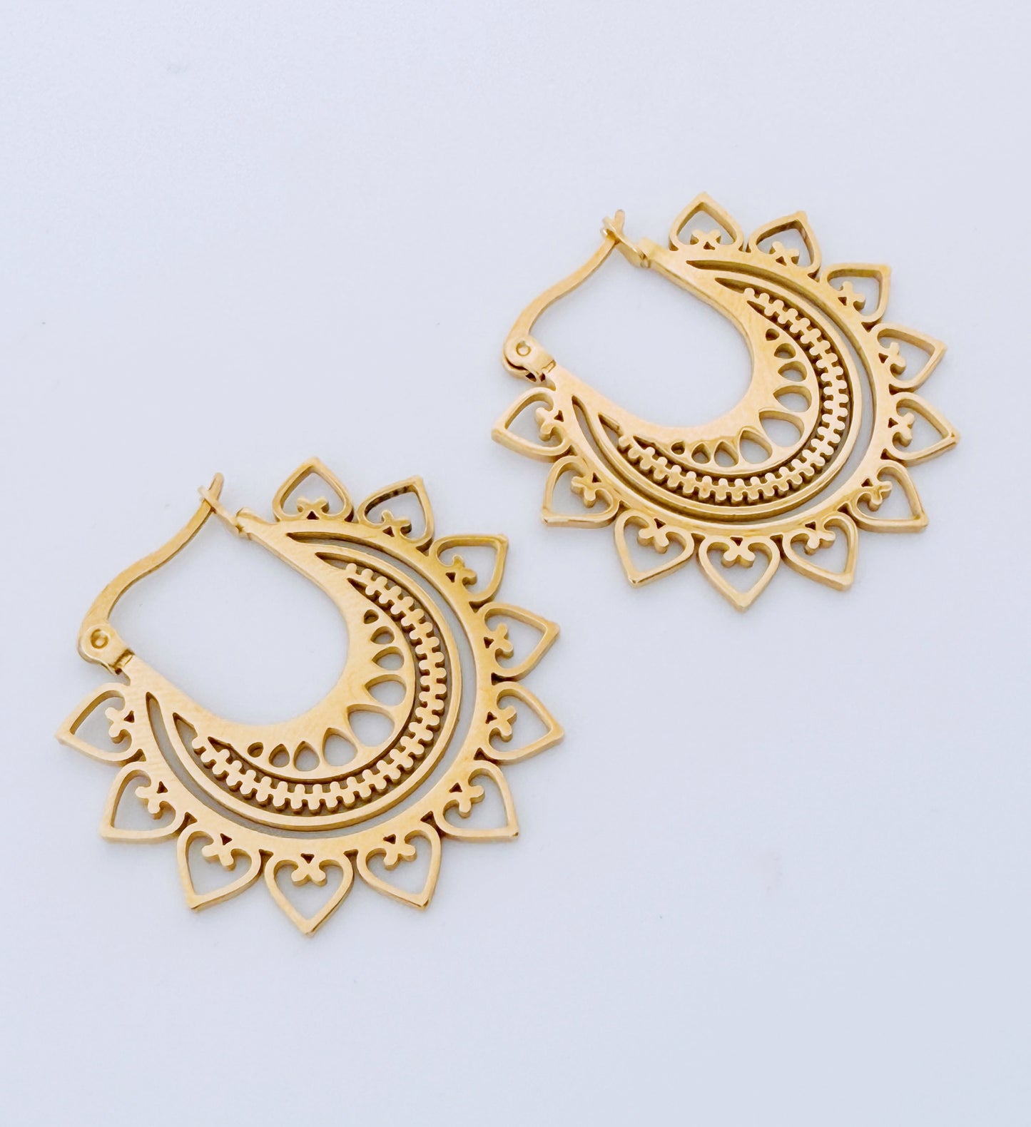 עגילי צבעוני המדבר