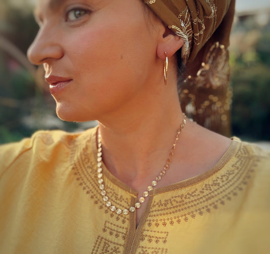 שרשרת זויתן