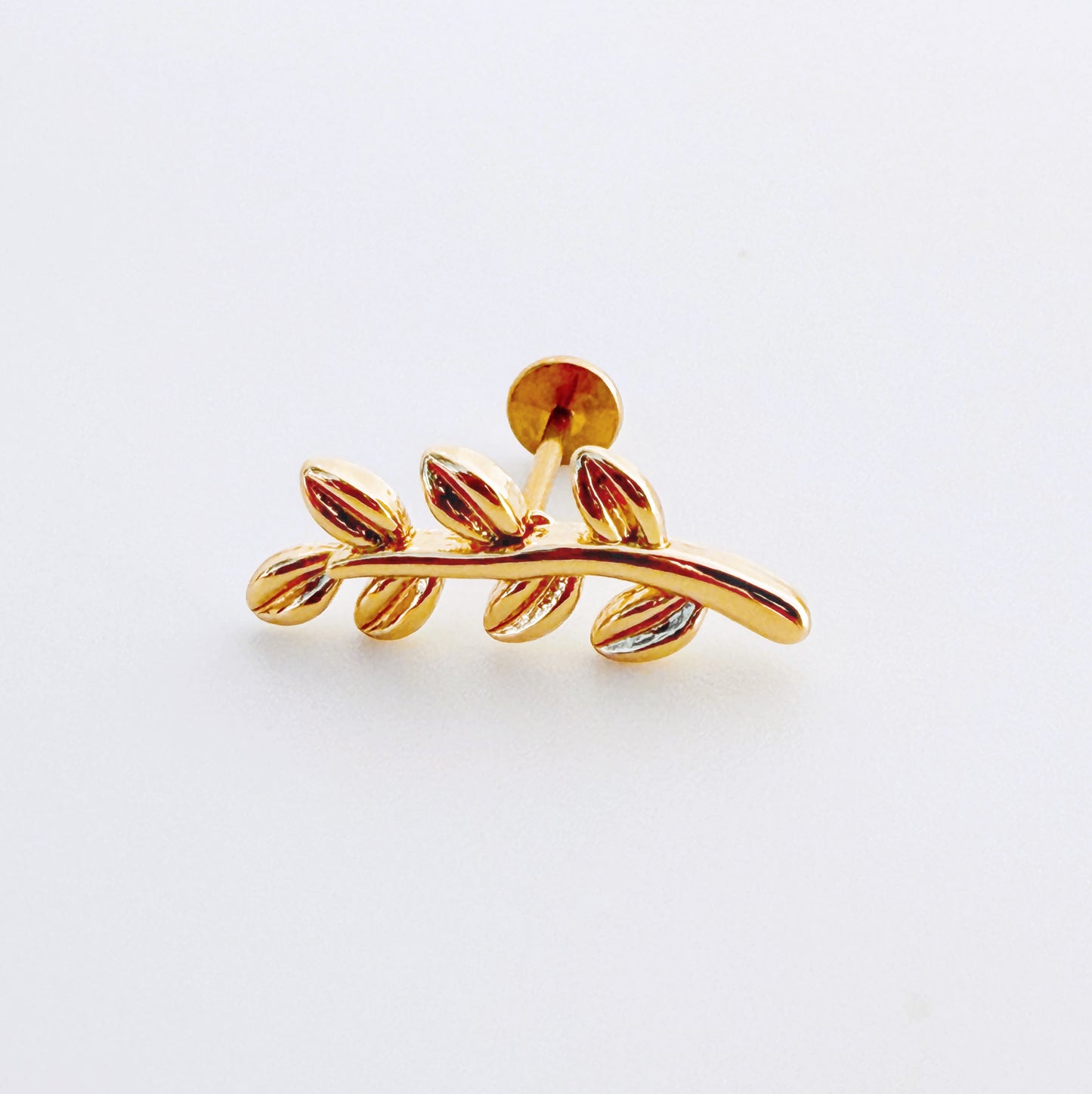 עגיל לפירסינג ענףנף