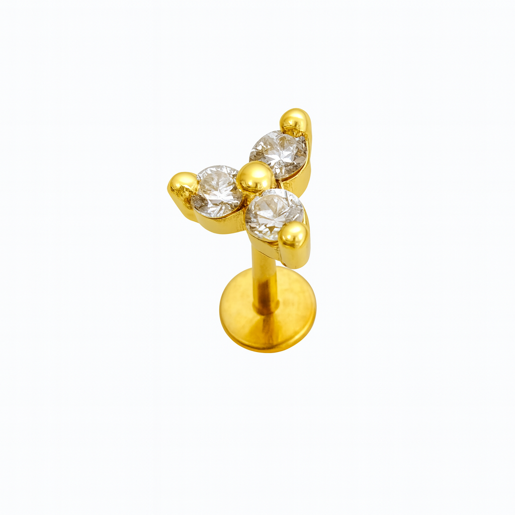 עגיל לפירסינג עדשת