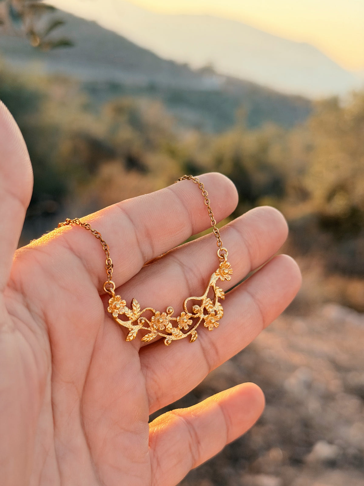 שרשרת הניצנים נראו בארץ