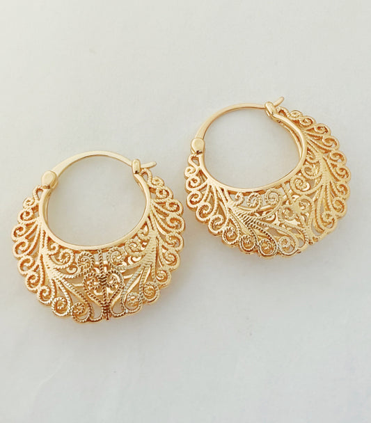 עגילי ביקורים