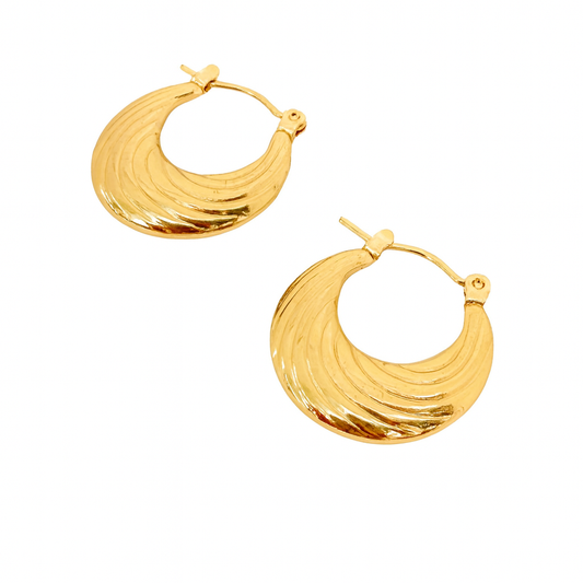 עגילי כנפים