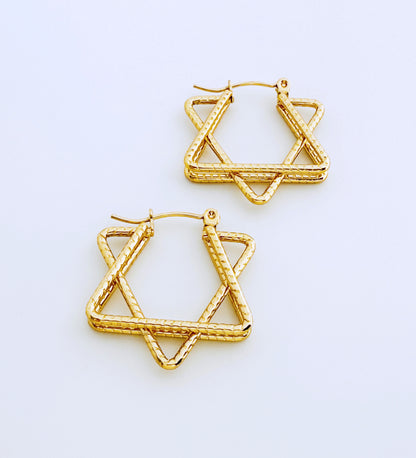 עגילי ציונה