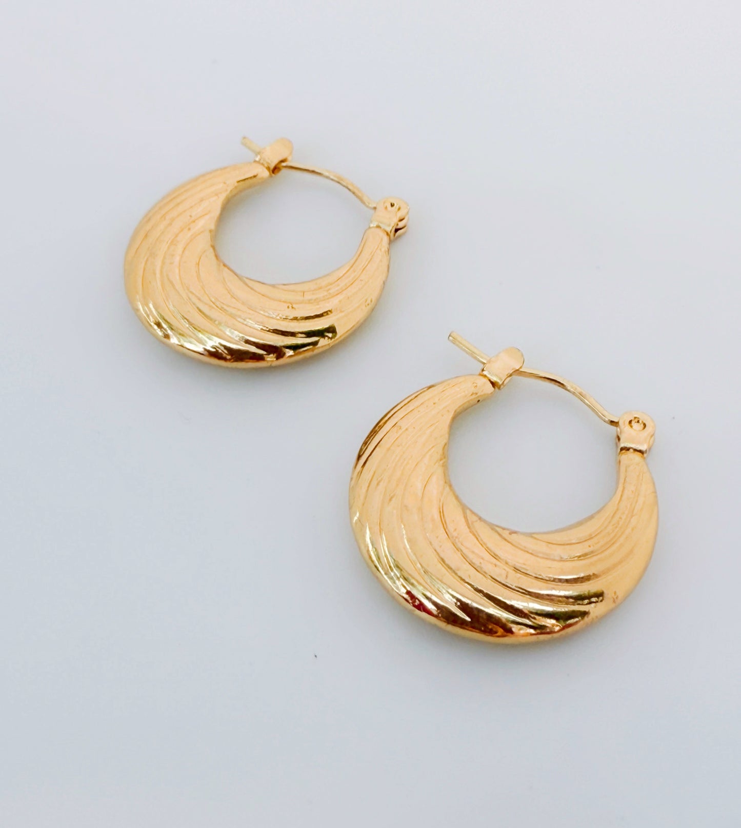 עגילי כנפים