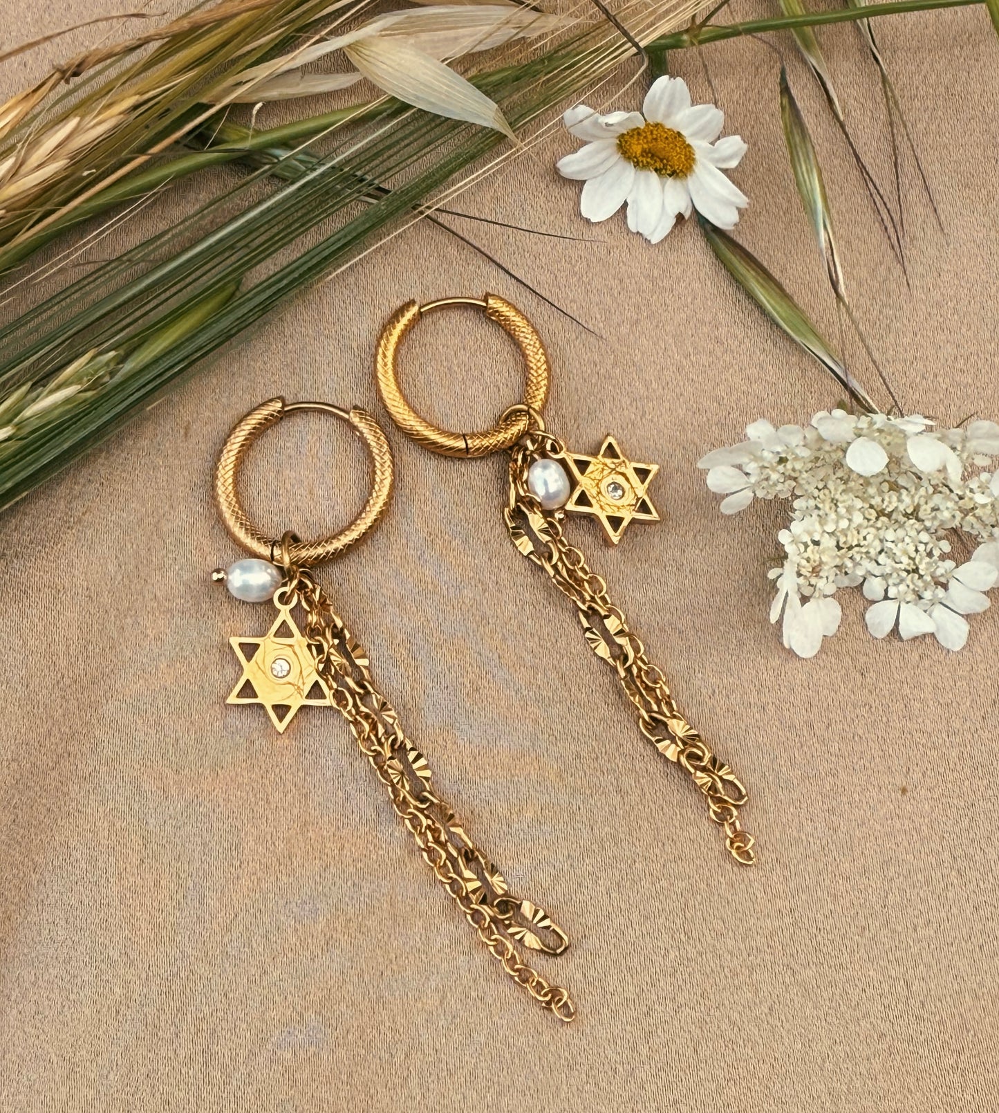 עגילי שניר