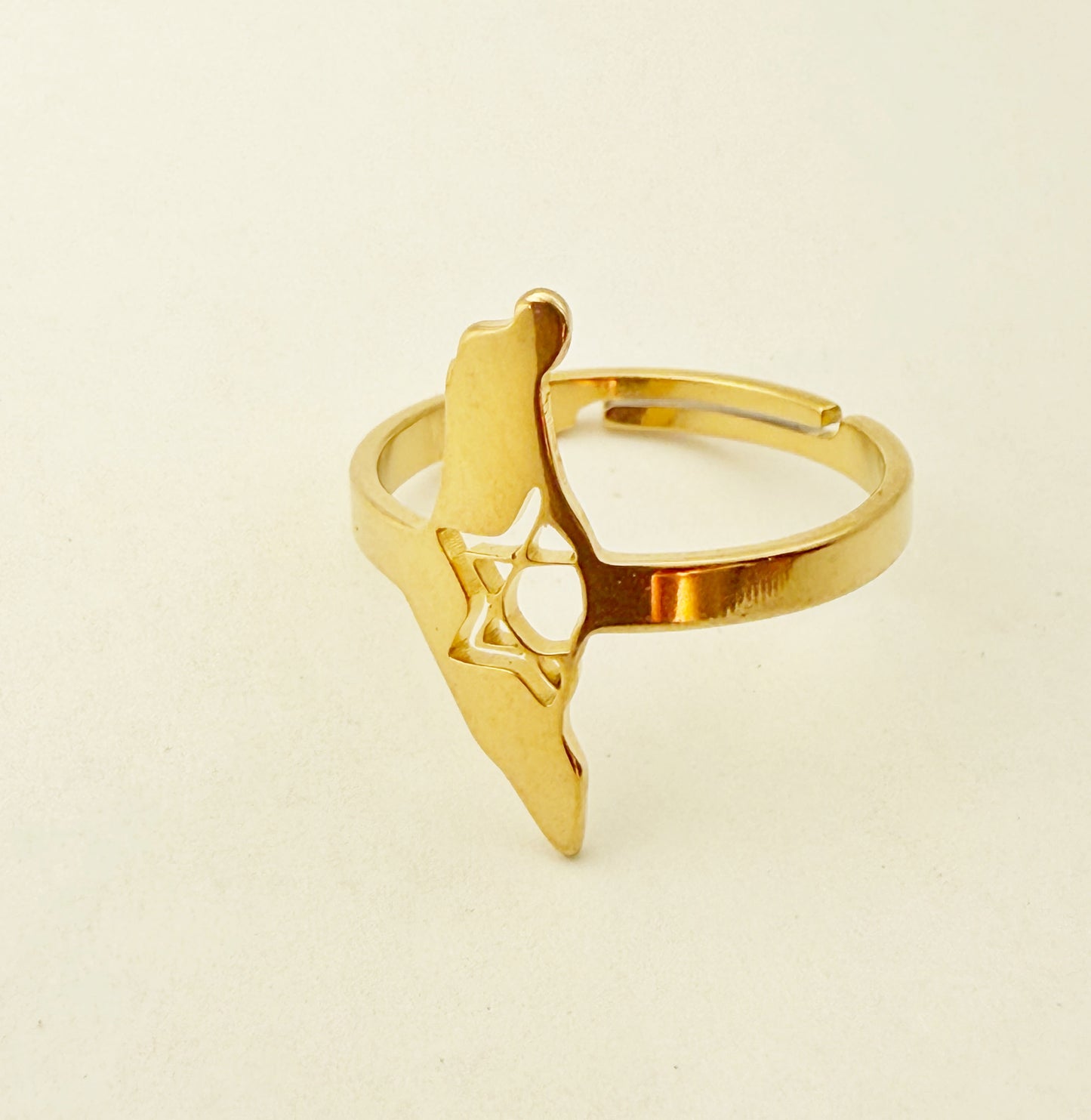 טבעת תכשיט הארץ