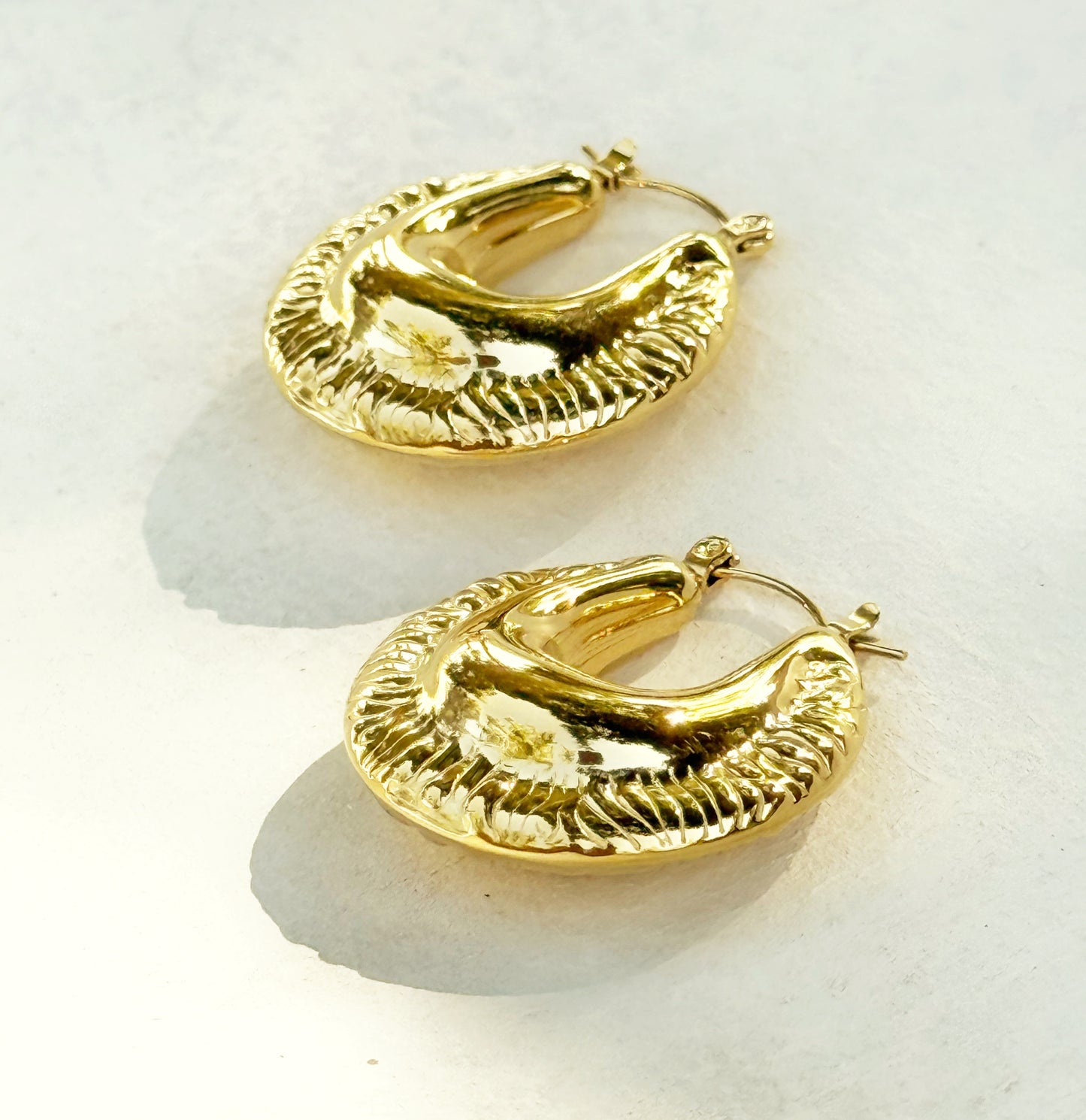 עגילי אשת חיל