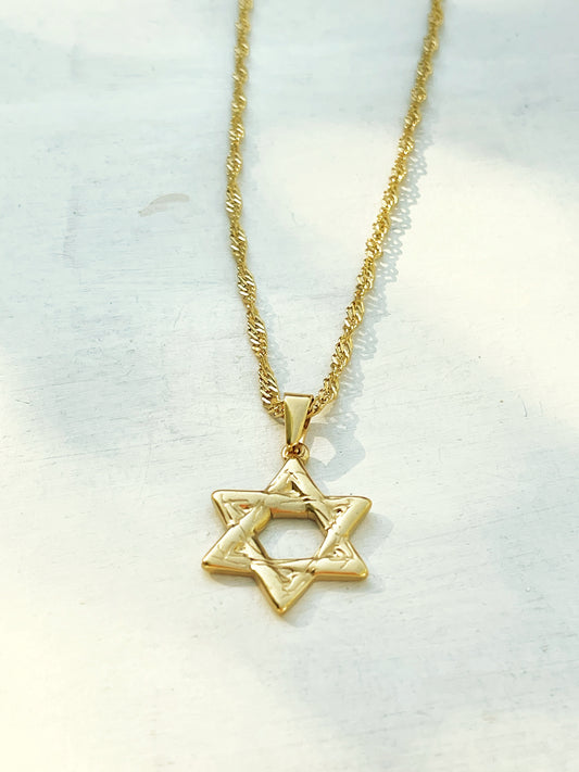 רשת האור