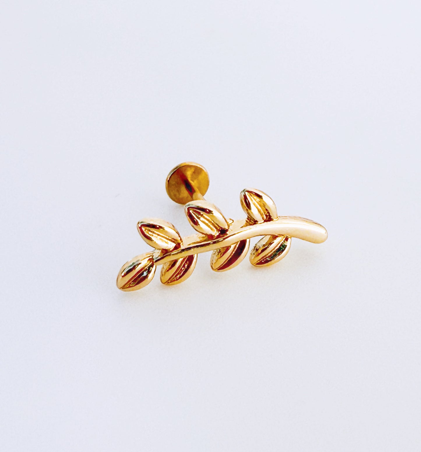 עגיל לפירסינג ענףנף