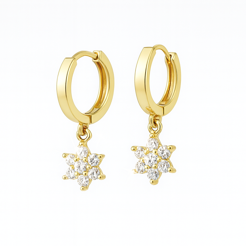 עגילי ששת ימי