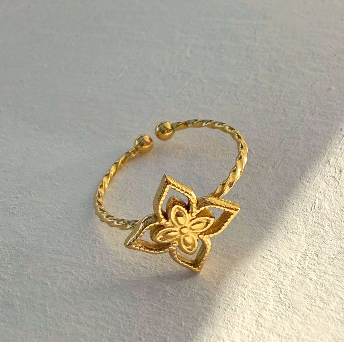 טבעת שושנת הרוחות