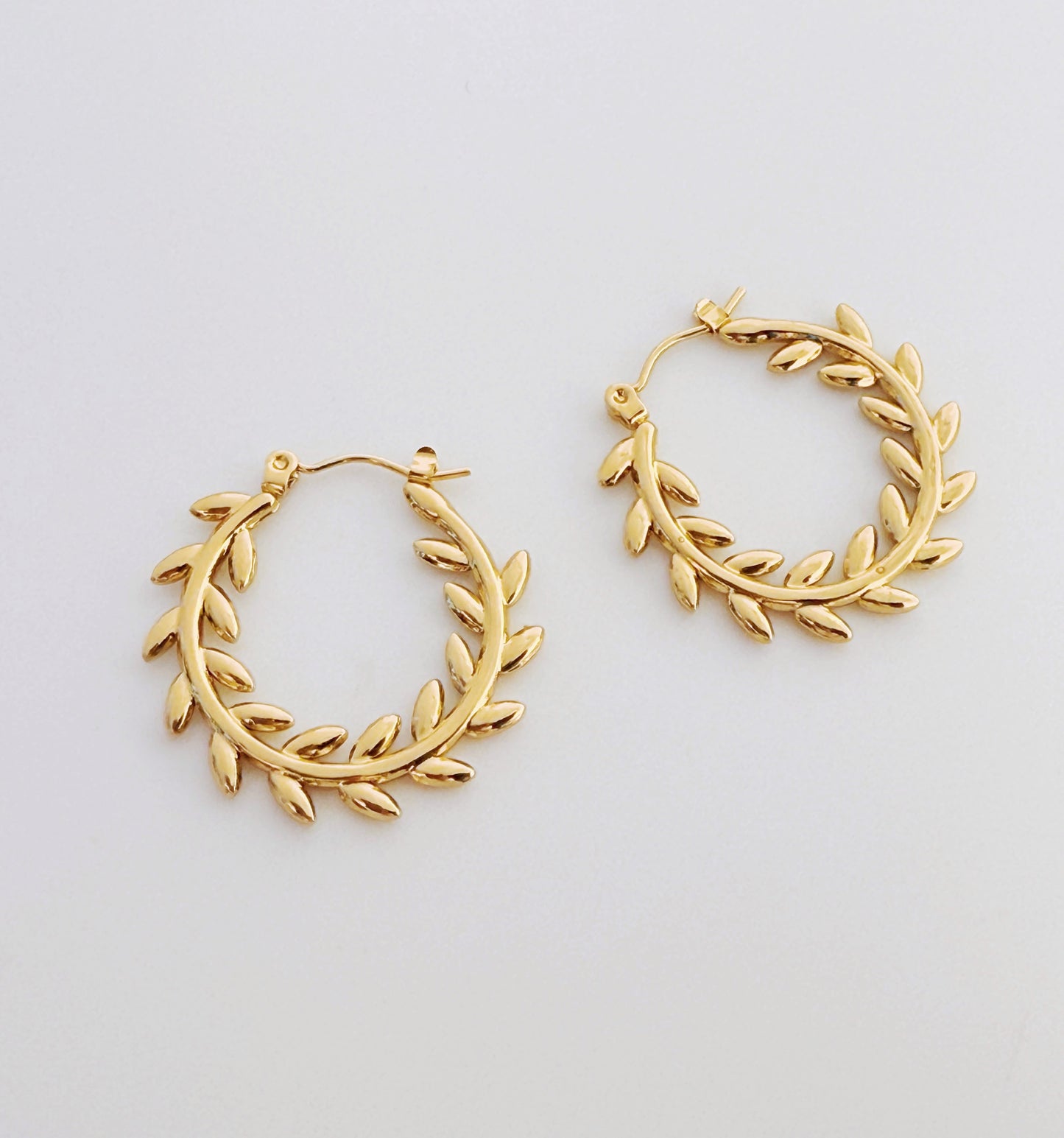 עגילי חיטה צומחת