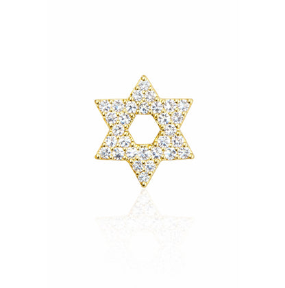 עגיל לפירסינג כרכום