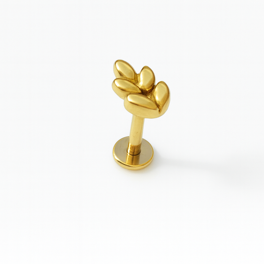 עגיל לפירסינג חיטה