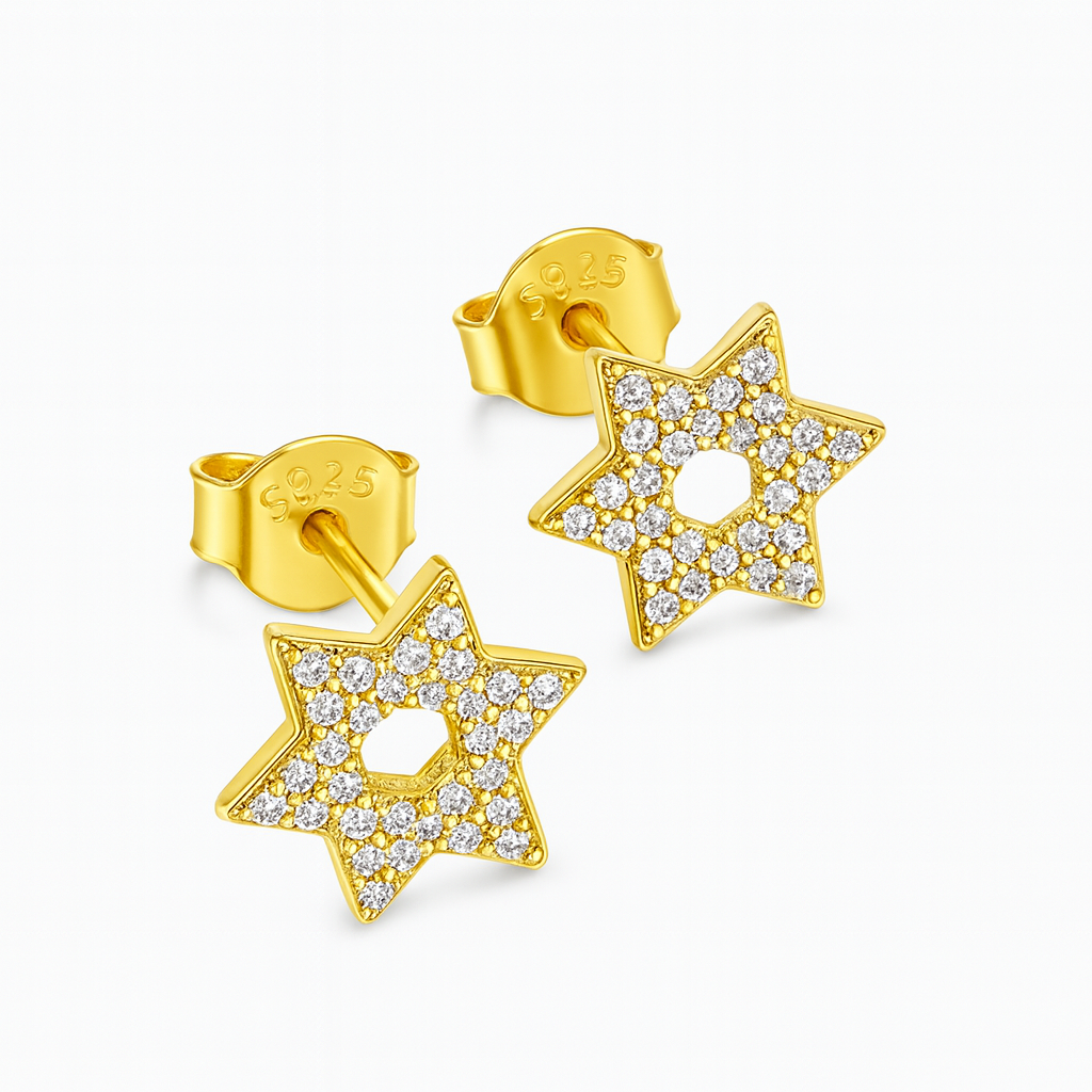 עגילי אור דוד