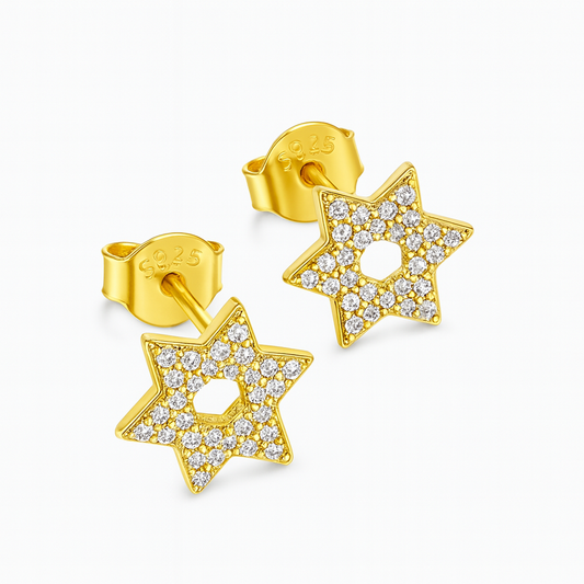 עגילי אור דוד